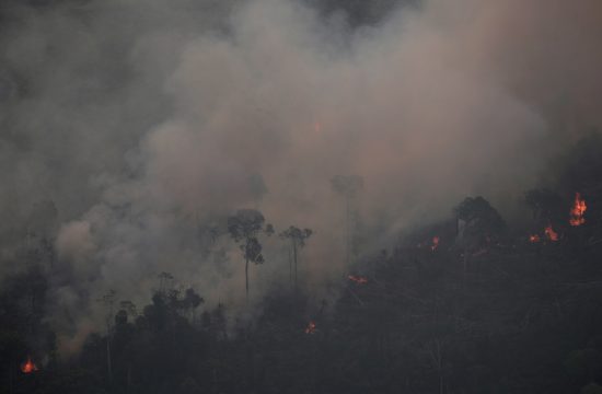 Amazonija, amazon požar