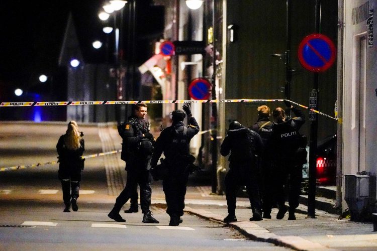 Napad, Norveška, policija