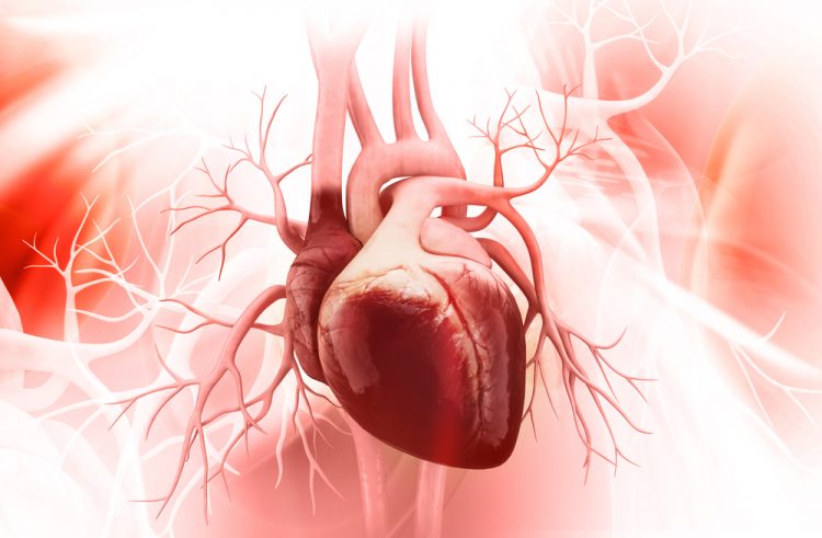 srce, operacija srca, transplatacija srca, srčane bolesti, srčani problemi